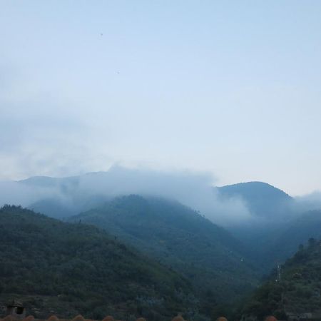 Вилла Rustic Liguria Ceriana Экстерьер фото