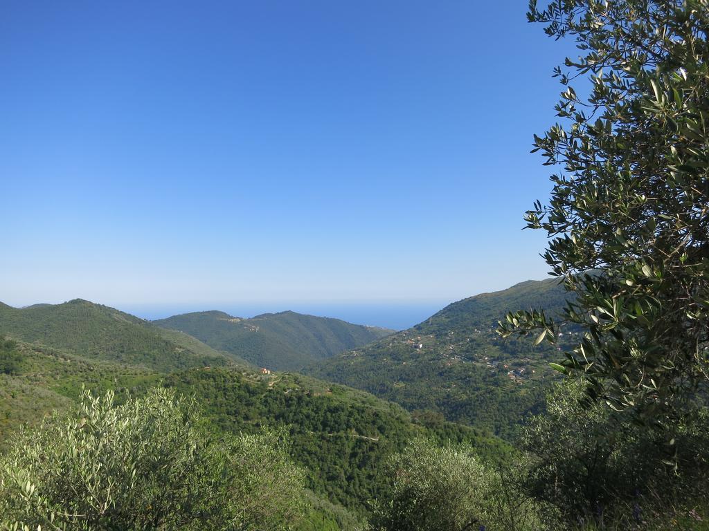 Вилла Rustic Liguria Ceriana Экстерьер фото