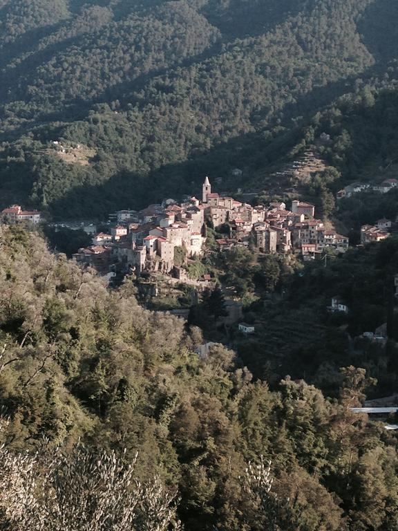 Вилла Rustic Liguria Ceriana Экстерьер фото